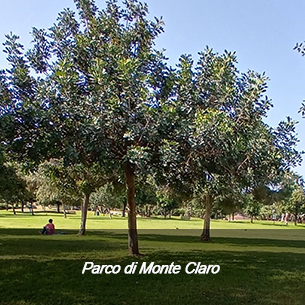 Parco M. Claro.jpg